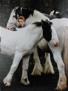 Image description is not available for 2008.032